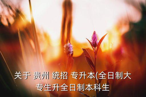 關于 貴州 統(tǒng)招 專升本(全日制大專生升全日制本科生