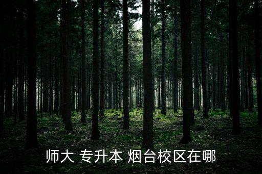 師大 專升本 煙臺(tái)校區(qū)在哪