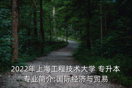 2022年上海工程技術(shù)大學(xué) 專升本專業(yè)簡(jiǎn)介:國(guó)際經(jīng)濟(jì)與貿(mào)易