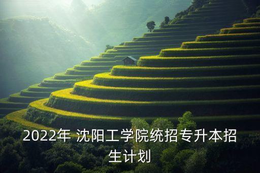 2022年 沈陽(yáng)工學(xué)院統(tǒng)招專(zhuān)升本招生計(jì)劃