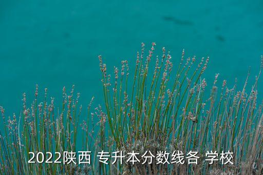 2022陜西 專升本分數(shù)線各 學(xué)校