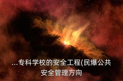 ...專科學(xué)校的安全工程(民爆公共安全管理方向