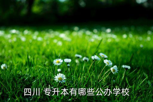 專升本統(tǒng)招攀枝花學院,攀枝花學院臨床醫(yī)學專升本