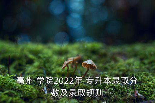 亳州 學院2022年 專升本錄取分數(shù)及錄取規(guī)則