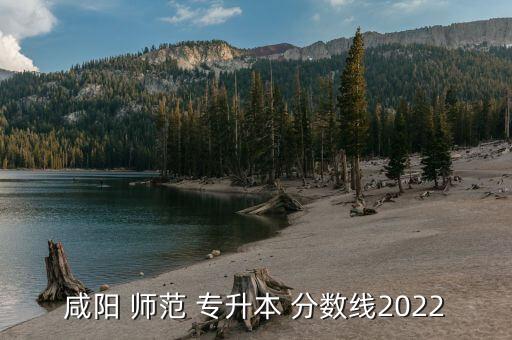 咸陽 師范 專升本 分數(shù)線2022