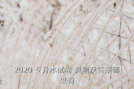 2020 專升本試卷 真題及答案哪里有