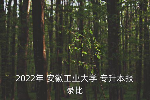 2022年 安徽工業(yè)大學(xué) 專升本報(bào)錄比