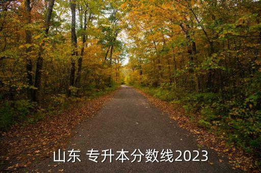 山東 專升本分數線2023