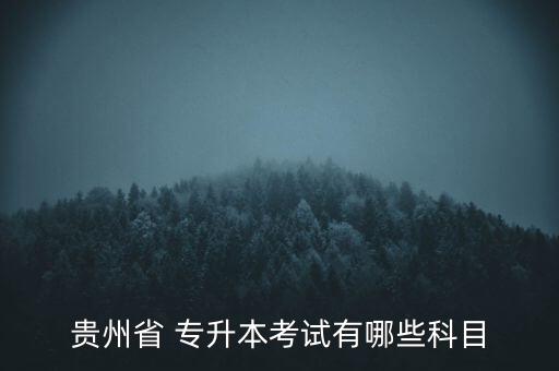 貴州大學(xué)高考專升本