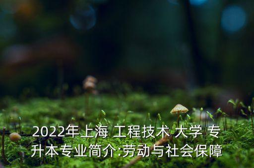 2022年上海 工程技術(shù) 大學(xué) 專升本專業(yè)簡介:勞動與社會保障