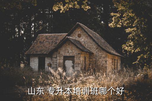 山東 專升本培訓(xùn)班哪個(gè)好