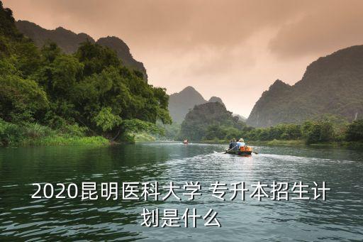 2020昆明醫(yī)科大學(xué) 專升本招生計(jì)劃是什么