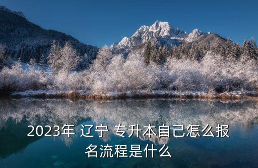 2023年 遼寧 專升本自己怎么報名流程是什么