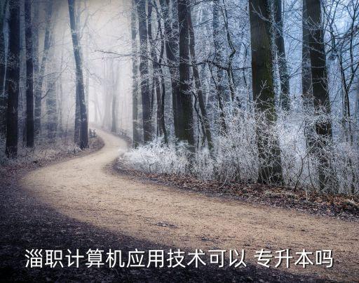 淄職計(jì)算機(jī)應(yīng)用技術(shù)可以 專升本嗎