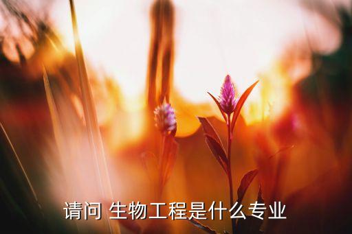 請問 生物工程是什么專業(yè)