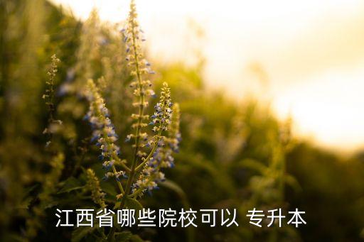 江西省哪些院校可以 專升本