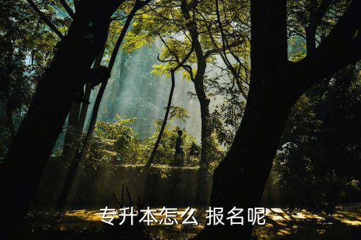 專升本是去學校報名嗎