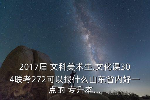 2017屆 文科美術(shù)生,文化課304聯(lián)考272可以報什么山東省內(nèi)好一點的 專升本...