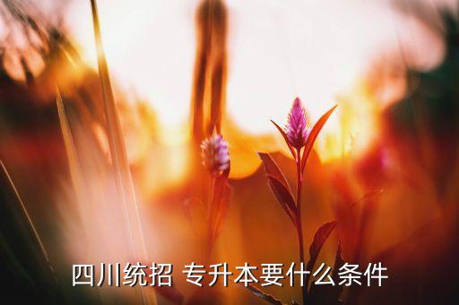 四川統(tǒng)招 專升本要什么條件