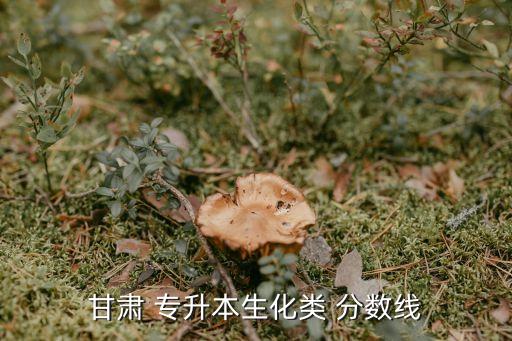 甘肅 專升本生化類 分?jǐn)?shù)線