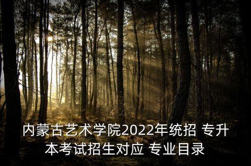 內(nèi)蒙古藝術(shù)學(xué)院2022年統(tǒng)招 專升本考試招生對應(yīng) 專業(yè)目錄