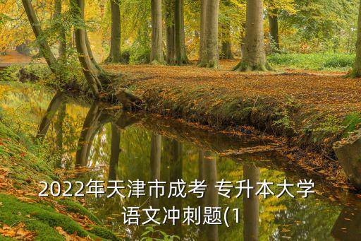 2022年天津市成考 專升本大學(xué) 語(yǔ)文沖刺題(1