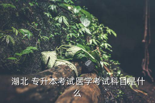  湖北 專(zhuān)升本考試醫(yī)學(xué)考試科目是什么