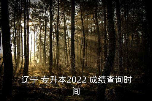  遼寧 專升本2022 成績查詢時間