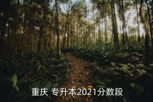  重慶 專(zhuān)升本2021分?jǐn)?shù)段