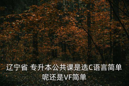 遼寧省 專升本公共課是選C語言簡(jiǎn)單呢還是VF簡(jiǎn)單