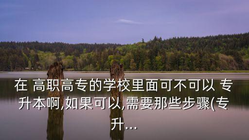 在 高職高專的學校里面可不可以 專升本啊,如果可以,需要那些步驟(專升...