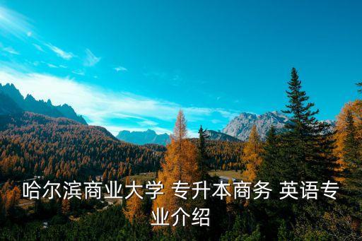 哈爾濱商業(yè)大學(xué) 專升本商務(wù) 英語(yǔ)專業(yè)介紹