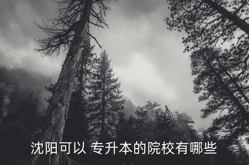 沈陽可以 專升本的院校有哪些