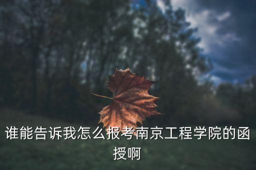 誰能告訴我怎么報考南京工程學院的函授啊