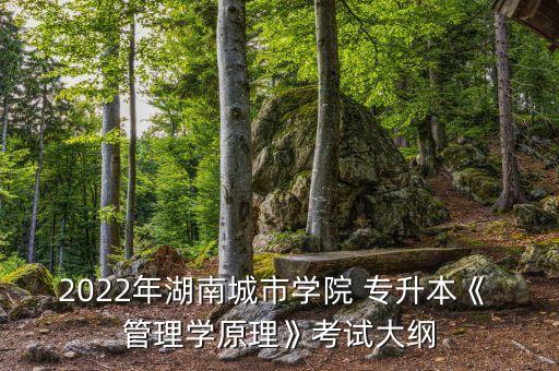 2022年湖南城市學(xué)院 專升本《 管理學(xué)原理》考試大綱