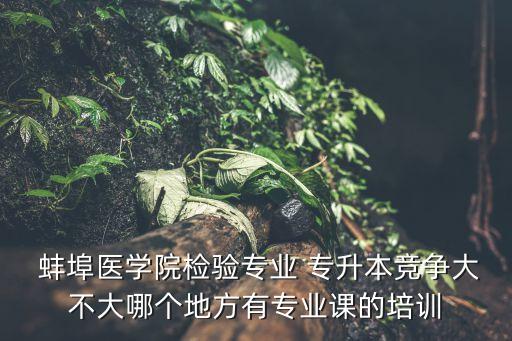 蚌埠專升本的培訓(xùn)班,蚌埠工商學(xué)院專升本