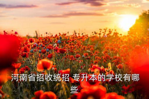  河南省招收統(tǒng)招 專升本的學校有哪些