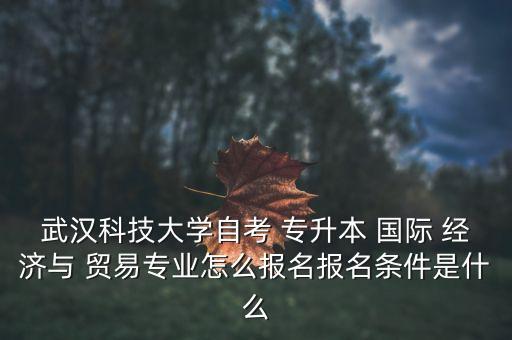 武漢科技大學(xué)自考 專升本 國際 經(jīng)濟(jì)與 貿(mào)易專業(yè)怎么報(bào)名報(bào)名條件是什么