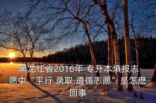  黑龍江省2016年 專升本填報(bào)志愿中“平行 錄取,遵循志愿”是怎麼回事