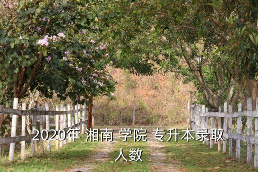 2020年 湘南 學院 專升本錄取人數(shù)