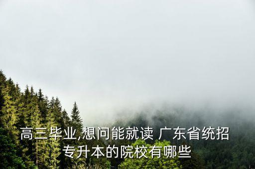 高三畢業(yè),想問(wèn)能就讀 廣東省統(tǒng)招 專升本的院校有哪些