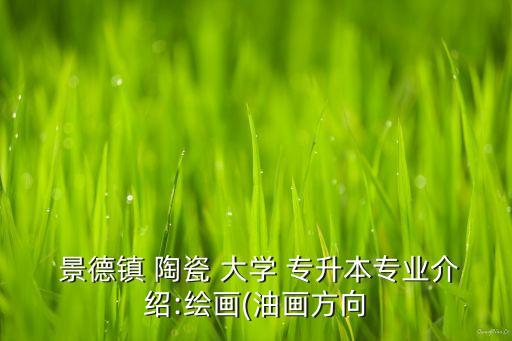  景德鎮(zhèn) 陶瓷 大學(xué) 專升本專業(yè)介紹:繪畫(油畫方向