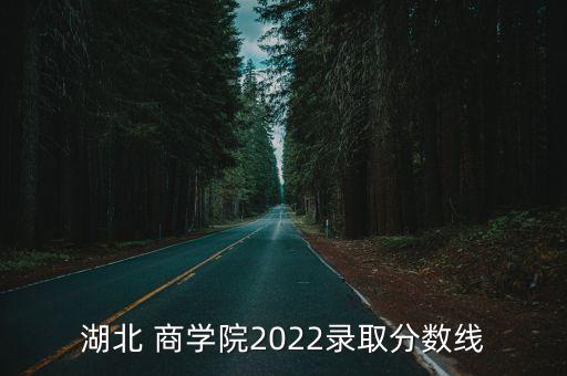 湖北 商學(xué)院2022錄取分?jǐn)?shù)線