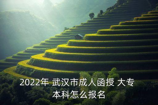 2022年 武漢市成人函授 大專 本科怎么報(bào)名