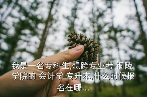 我是一名?？粕?想跨專業(yè)考 銅陵 學(xué)院的 會(huì)計(jì)學(xué) 專升本,什么時(shí)候報(bào)名在哪...