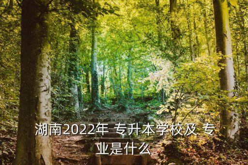  湖南2022年 專升本學(xué)校及 專業(yè)是什么