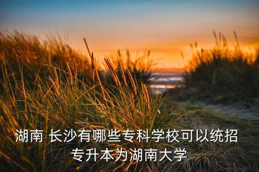 湖南 長(zhǎng)沙有哪些?？茖W(xué)校可以統(tǒng)招 專升本為湖南大學(xué)