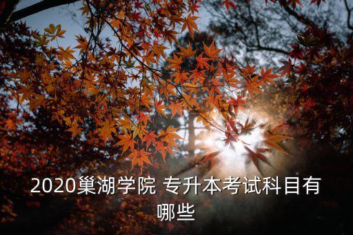 2020巢湖學(xué)院 專升本考試科目有哪些