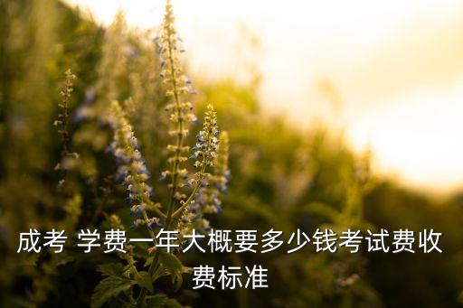 成考 學(xué)費(fèi)一年大概要多少錢考試費(fèi)收費(fèi)標(biāo)準(zhǔn)