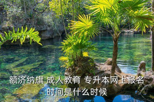 額濟(jì)納旗 成人教育 專升本網(wǎng)上報(bào)名時間是什么時候
